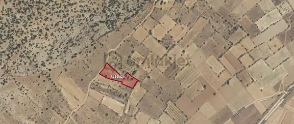 Çivril Sarılar Mah De 4668 M2 Yerleşime Yakın Satılık Bağ Bahçe 2