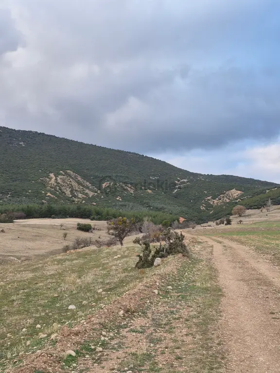 11660 M2 3tapu Isparta Gönen De 1
