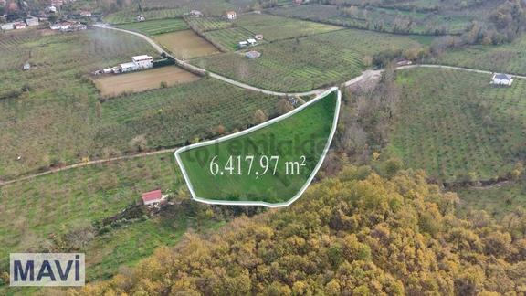 Remax Mavi Cengiz Özdemir'den 6.417,97 M² Tarla 2