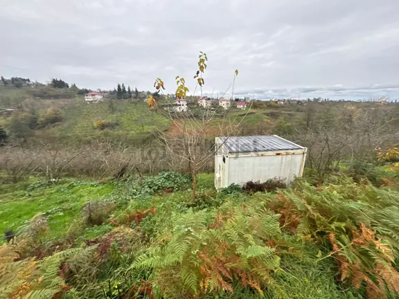 Trabzon Kavalada Satılık Arazi 1