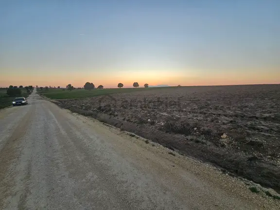 Enez Sultaniçede Satılık Tarla Yol Cepheli 1.463 M² 2
