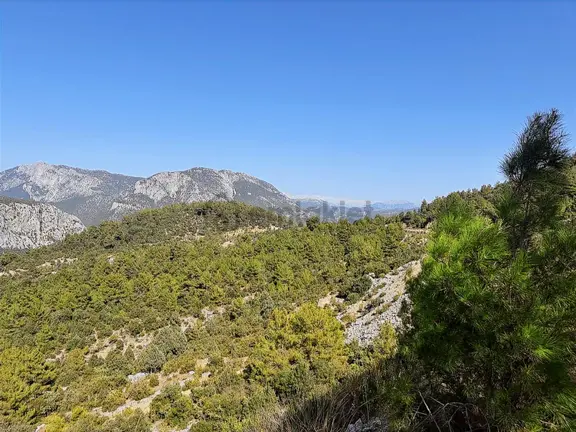 Antalya İbradı Aşağı Mahalle Çotak Mevkii Satılık Tek Tapu Tarla 2