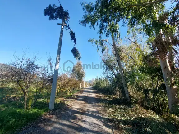 Ortaca Okçular Da 1000 M2 Müstakil Arsa 250 M2 İnşaat Hak Olan Satılık Veya Takas 2