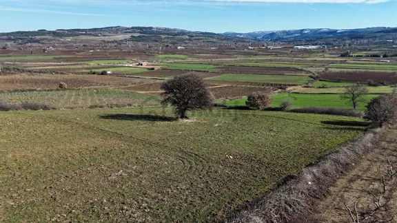 Çanakkale Kangırlı’da 6975 M2 Satılık Tarla 2