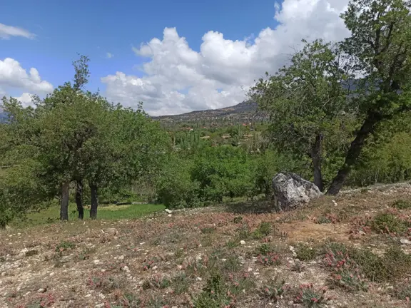 Satılık Fırsat Tarla Ermenek Guneyyurt 2