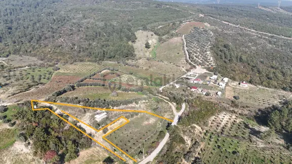 İzmir Menderes Çatalcada Elektrik Sulu Tapudan Satışlı Alt-sat Gelir Bahçeler 1