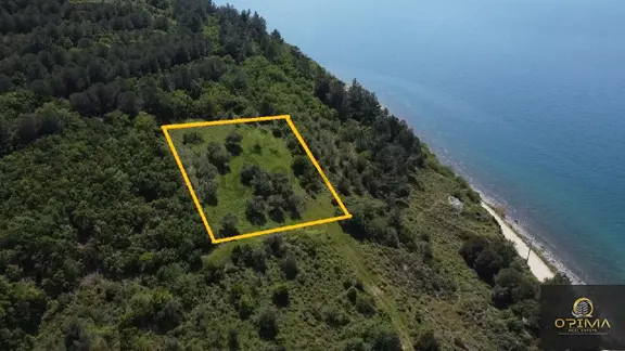 Opima Emlaktan Ocaklarda Şahane Deniz Manzaralı Satılık Zeytinlik 2