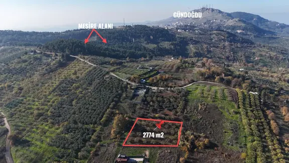 Gündoğdu Dürdane Mevkii 2.774 M2 Müstakil Parsel Satılık Tarla 1