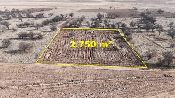Konya / Kadınhanı / Başkuyu Fatih Mahallesinde 2.750 M² Müstakil Tapulu Tarla 1