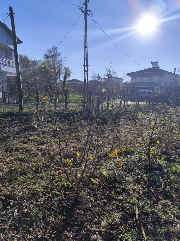 Akgün Kurumsal'dan Çarşamba Hasabahçe'de Kat Karşılığı Arsa 2