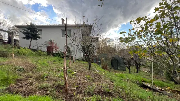 İstanbul'un Göbeğinde Doğal Yaşam Fırsatı 2