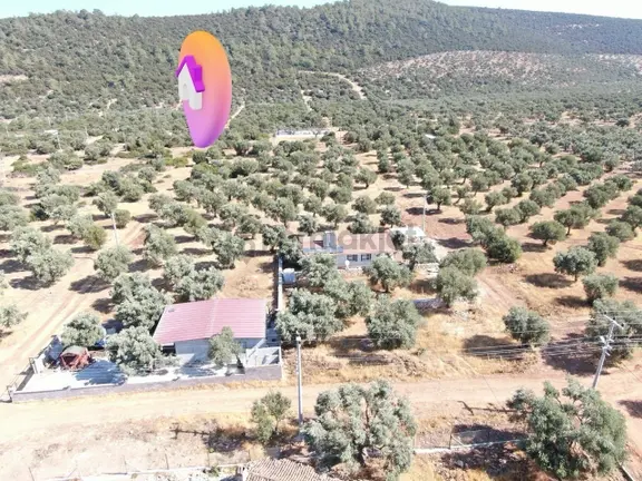 Didim Akyeniköy Kardelen Arsası Villa İmarlı 2