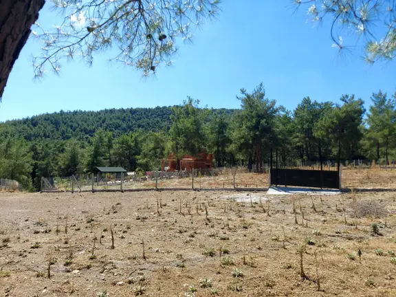 Menderes Ataköy' De Tek Tapu İmar Yakınında Satılık Arsa 1