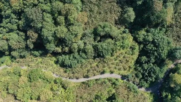 Trabzon Akçaabat Mersin Mahallesi 23.047 M2 Satılık Arazi 1