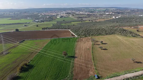 Mendereste Satılık Tektapu 2.500 M2 Pancar Sanayi İmar Dibinde Bahçe 2