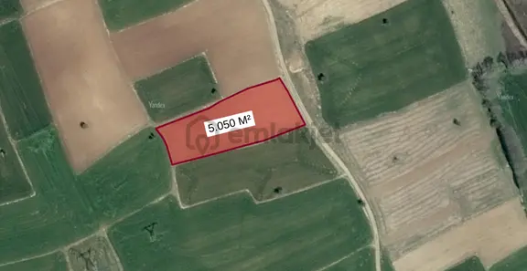 Satılık Tarla 5050 M²