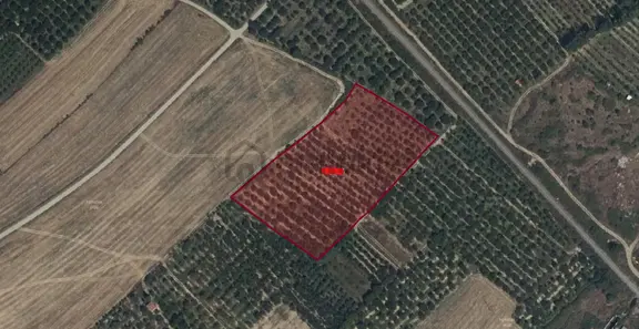 A-k Emlaktan Atakentte Toplam 4069 M2 Satılık Eriklik Tarla 1