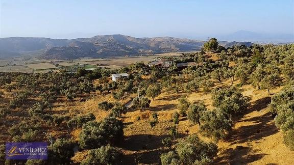 Tire Çayırlı Mahallesi Satılık Bahçe 2