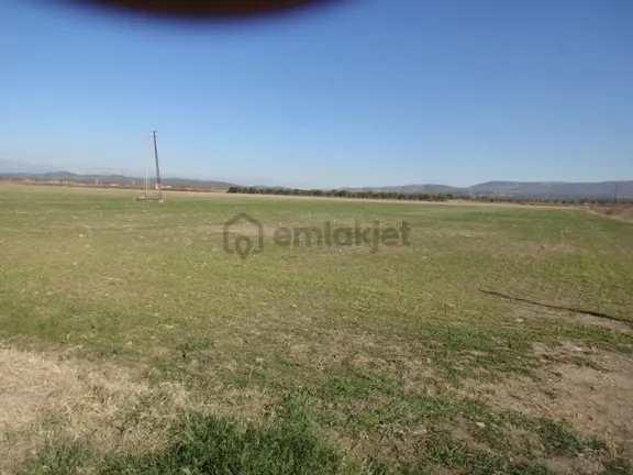 Ayvalık Altınova Da Satılık 2,217 Metre Kare Tarla. 1