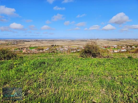 Mavi Atlastan Alaçam Yeniköy De Deniz Manzaralı Satılık Tarla 2