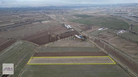 Liva'dan Bağpınar'da 9245 M² Çevre Yol Yakını Tarla 2