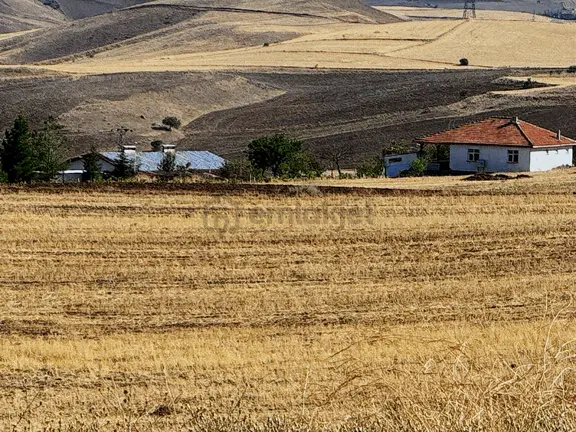 Ankara Kalecik Akkaynak 9.610 M2 Tek Tapu Mülk 2