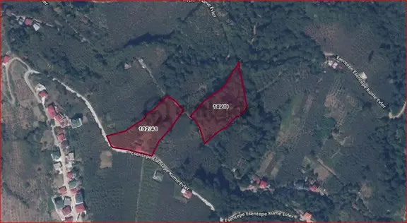 Kamer'den Trabzon,akçaabat,akçaköy Esentepe'de Satılık 7 Dönüm Hisse (açıklamayı Okuyunuz) 2