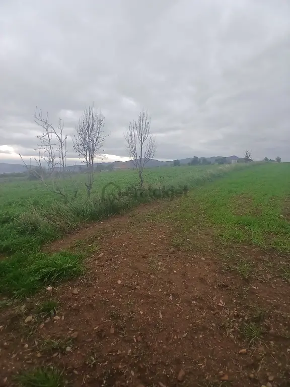 Kiraz Musluklar Mevkisinde 5.847m2 Tala Satılık 2