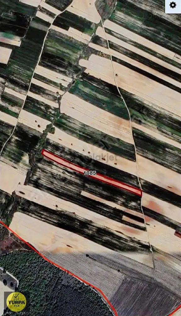 Kavakdere De Fırsat Tek Tapu Tarla