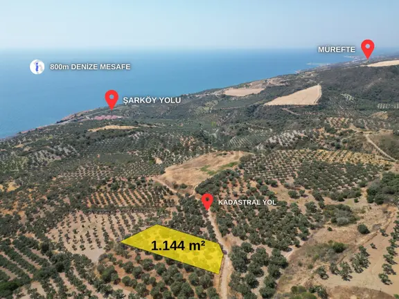 Torunlar Emlaktan Satılık Deniz Manzaralı Yatırımlık Zeytinlik 1