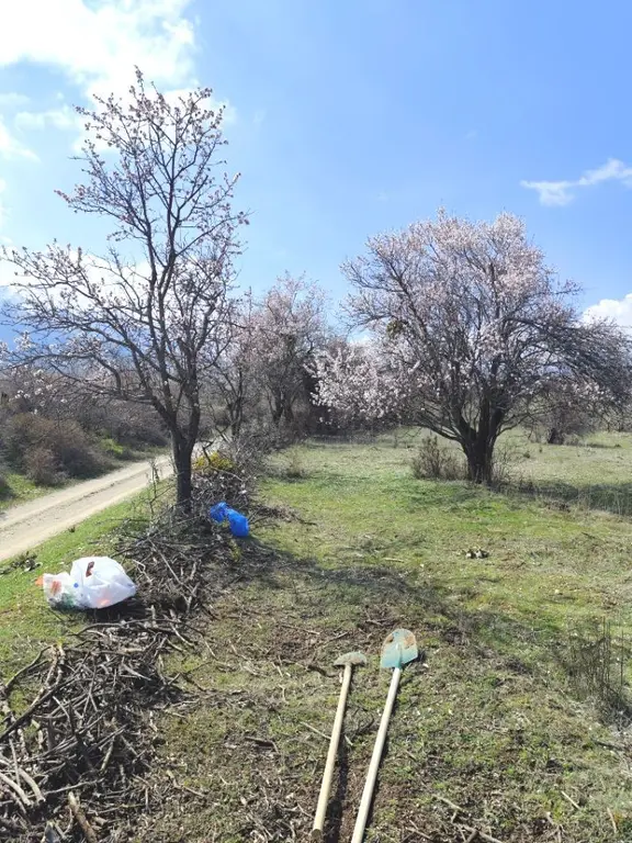 Isparta Senirkent 1800 M2 1