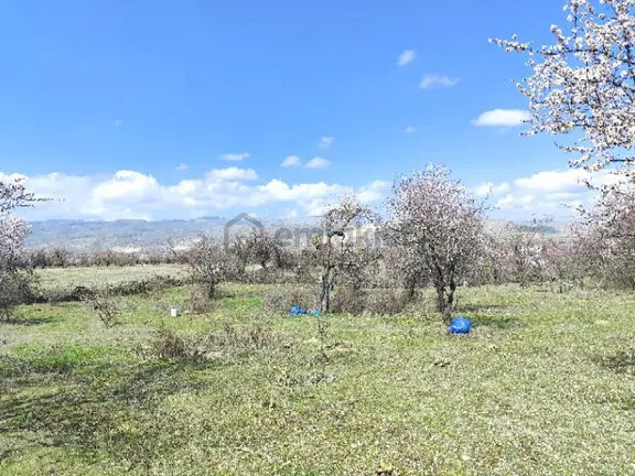 Isparta Senirkent 1800 M2 2