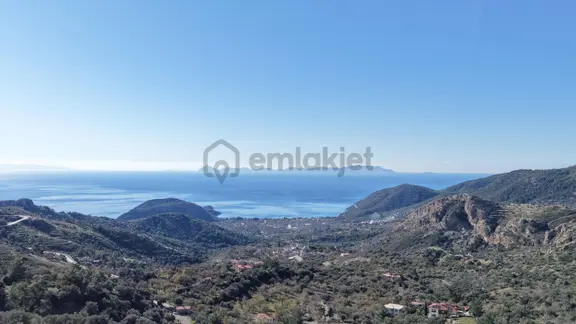 Datça Mesudiyede Panoramik Deniz Manzaralı 7.609m² Zeytinlik 2
