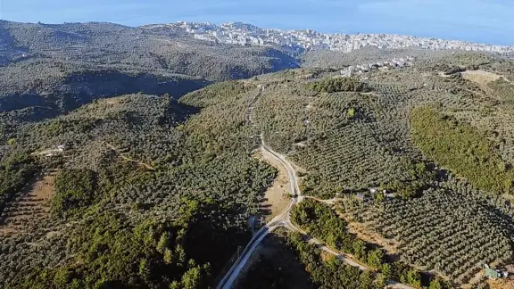 Akram'dan Halitpaşa'da Deniz Manzaralı Asfalta Cephe Arazi 2