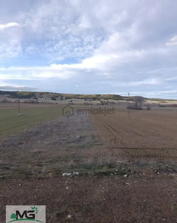 Kütahya Altıntaş Pınarcık Kelepir Arsa Ve Tarla 2