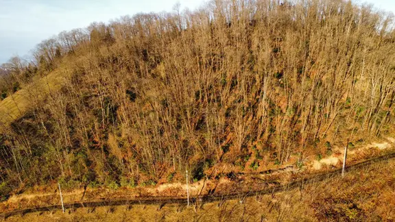Trabzon'da Satılık 4 Dönüm Arazi 1