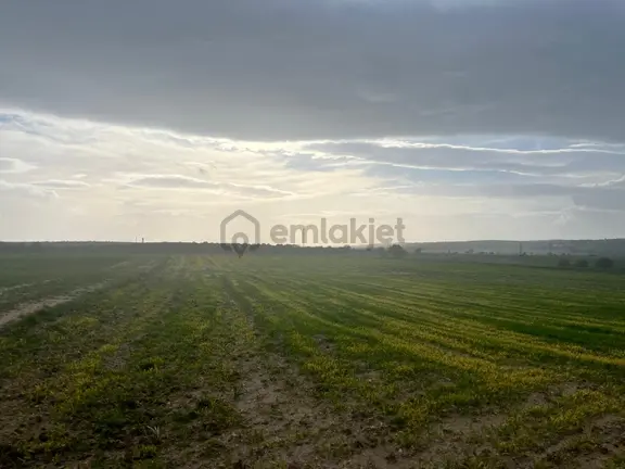 Edirne Enezde 13.500 Dönüm Fırsat Yatırımlık Arazi 2