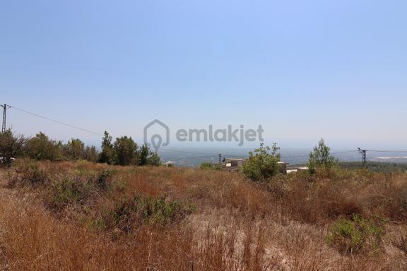 Yeni Otoban Projesine Ulaşımı Kolay İmarlı Arsa |tekce 2