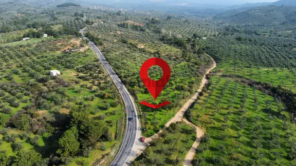 Mera Emlaktan Çamcı Mh Asfalt Cepheli 7.700m2 Müstakil Zeytinlik 1