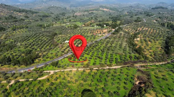 Mera Emlaktan Çamcı Mh Asfalt Cepheli 7.700m2 Müstakil Zeytinlik 2