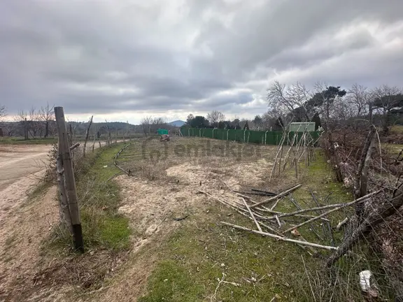 Mera Emlaktan Havran Kalabak Mevki 382 M2 Köşe Parsel Tarla 1
