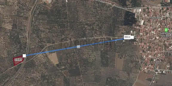 Manisa Akhisar Süleymanlı Mahallesinde Satılık Yola Sıfır Zeytinlik 2