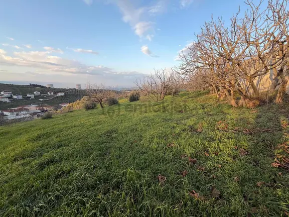 Ovaakça,da 800 M2 Villa İmarlı Arsa 2