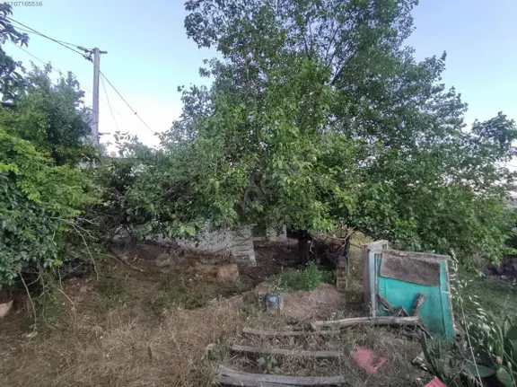 Aydın Dağkaraağaç Avlulu Bakıma Muhtaç Köy Evi 2