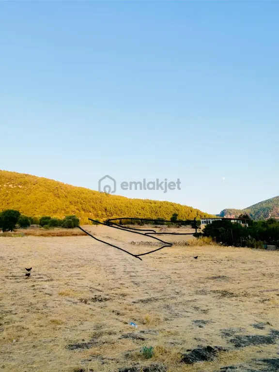 Acil Satılık Bu Fırsat Kaçmaz Milas Gökbel Mevkii Yatırımlık 2