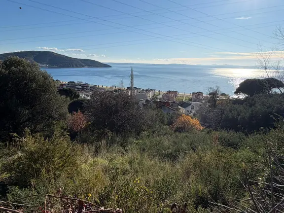 Erdek Ocaklar'da 1550m2 Deniz Manzaralı Satılık Zeytinlik 1