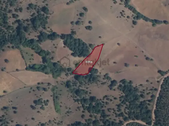 Dursunbey Kızılcadere'de 1650 M2 Müstakil Parsel 1