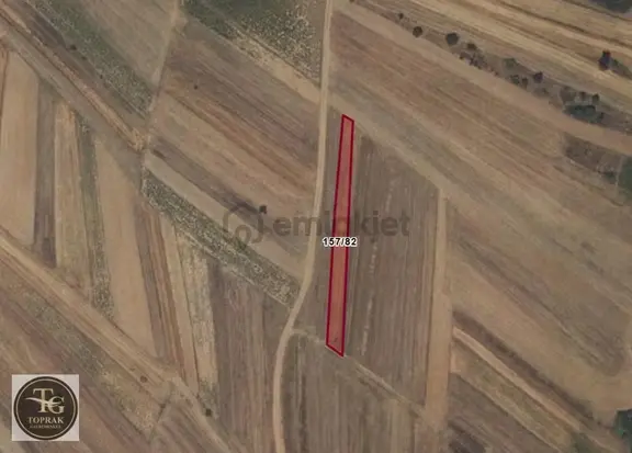 Tekirdağ Malkara Kozyörük'de 938 M2 Satılık Arazi 1
