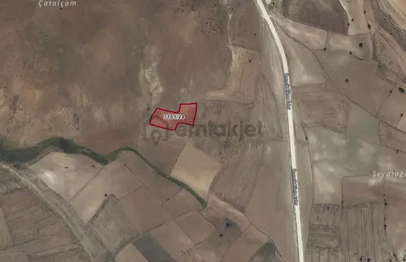 Seyitgazi Örencik'te Yatırımlık Fırsat! 4.474 M² Müstakil Parsel 2