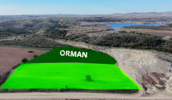 Newcıty Emlaktan Yündalanda Yola Cepheli Satılık Tarla 10.450 M2 1